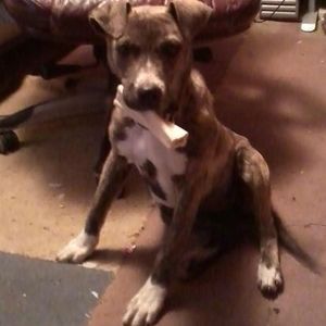 Meet your Posher, Sharon